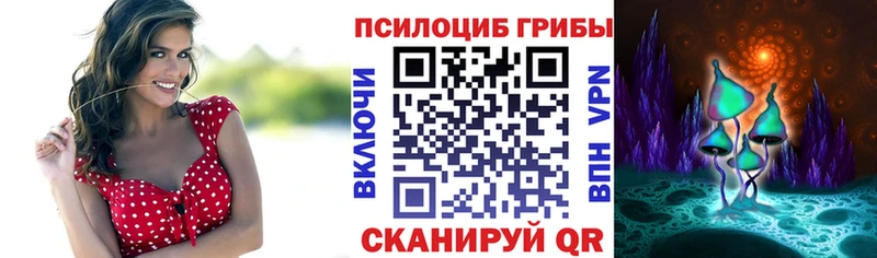 Псилоцибиновые грибы Cubensis  Магас 
